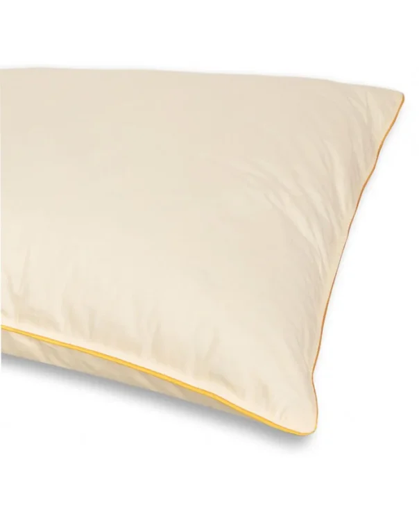 poduszka-puchowa-premium-70x80-1kg-ecru-puch-gesi-bialy_5667f63b-dcd9-4903-a15c-cba9df43e391.webp
