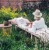Lovely-Linen-SS22-2.webp