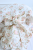 77.png