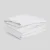 koldrabialazlozona.webp